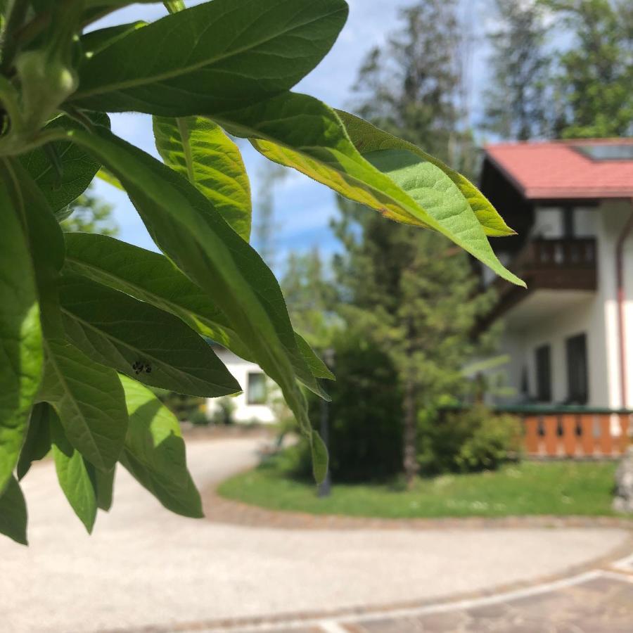 힌터스토더 Waldhaus 아파트 외부 사진